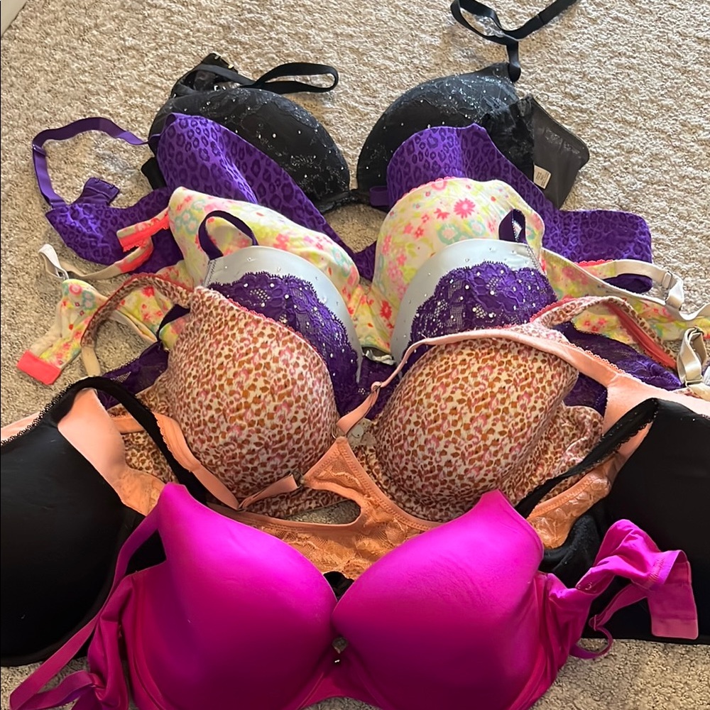 Women's Intimates Collection - Multi-Color Bras